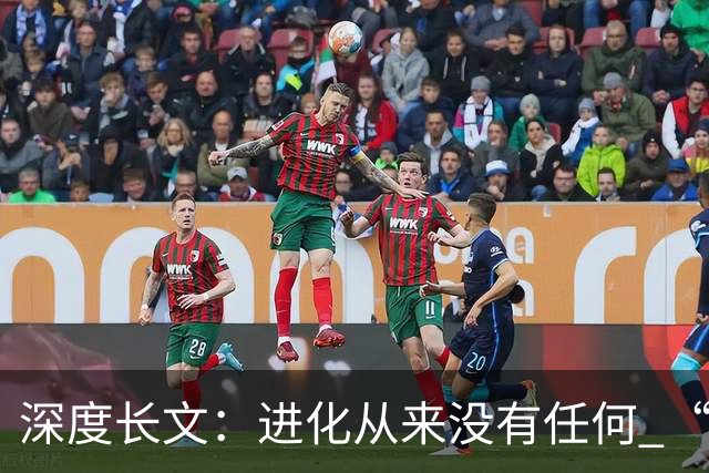 深度长文：进化从来没有任何 “目的”，只是一场盲目试错！